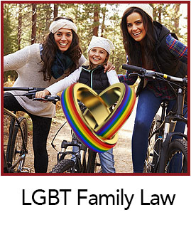 LGBT Family Law